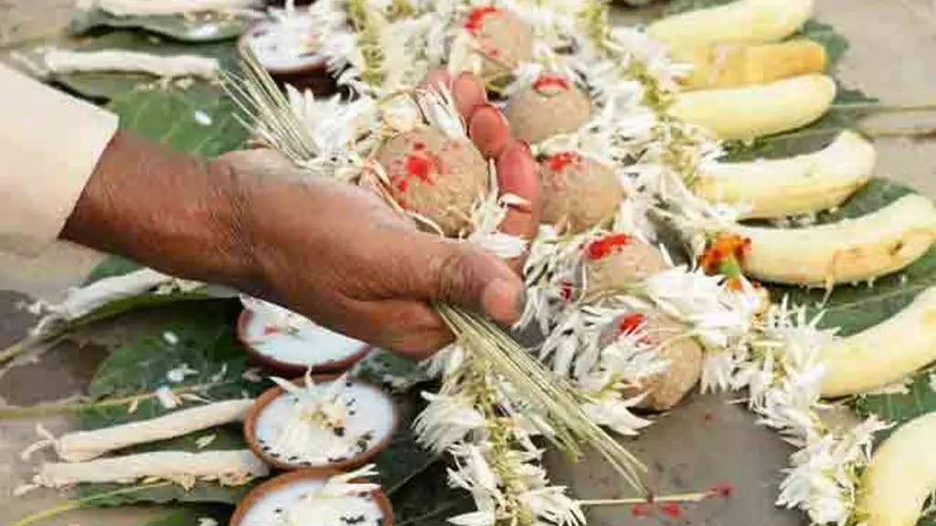 https://zeenews.india.com/hindi/religion/pitru-paksha-daan-donate-these-things-during-shradh-to-receive-blessings-of-your-ancestors/1891400