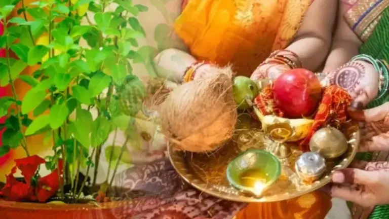 "Tulsi Puja in Kartik Maas 2023: का महत्व धन और समृद्धि के लिए तुलसी की पूजा कैसे करें"