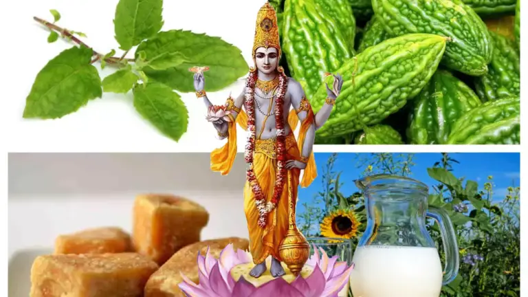 "Kartik Maas 2023 Dietary Rules: What to Eat and Avoid During Kartik Month"