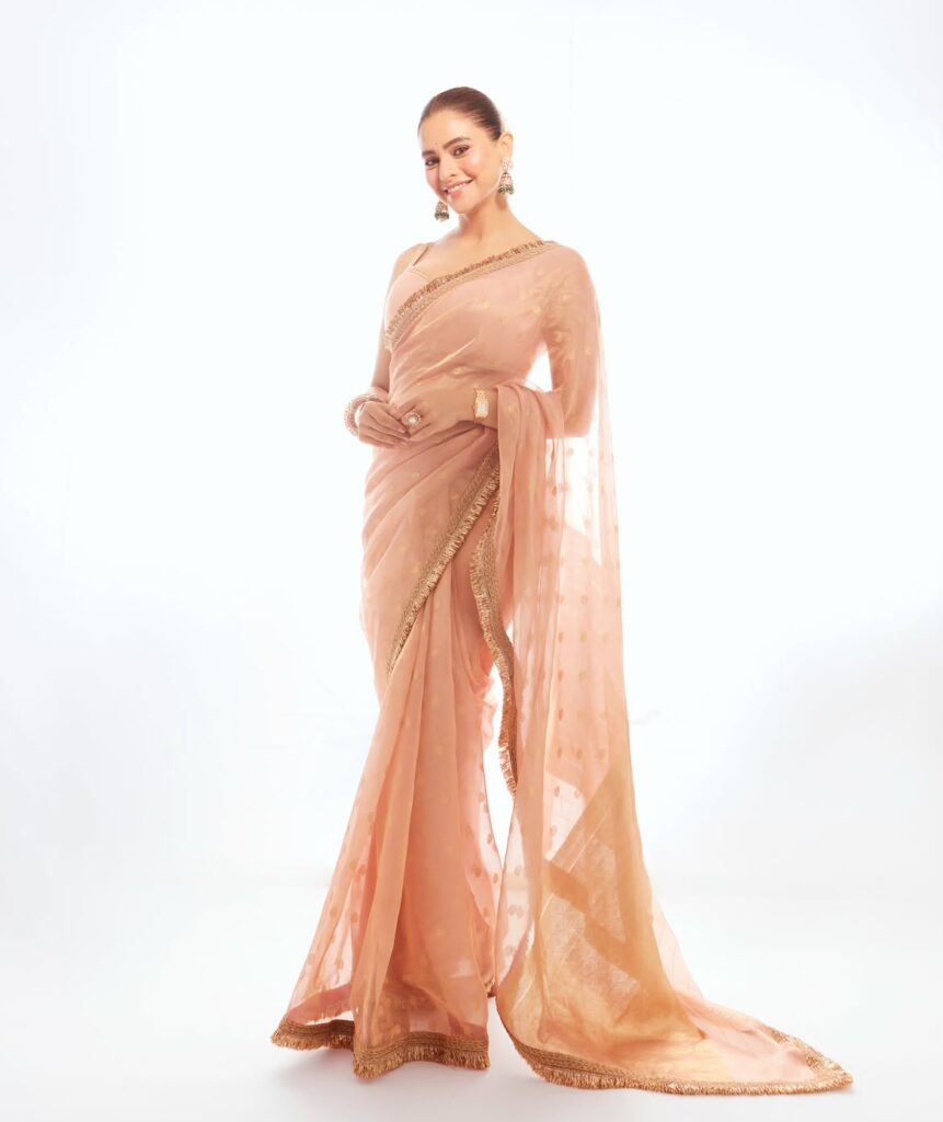 Aamna Sharif Peach Saree Look