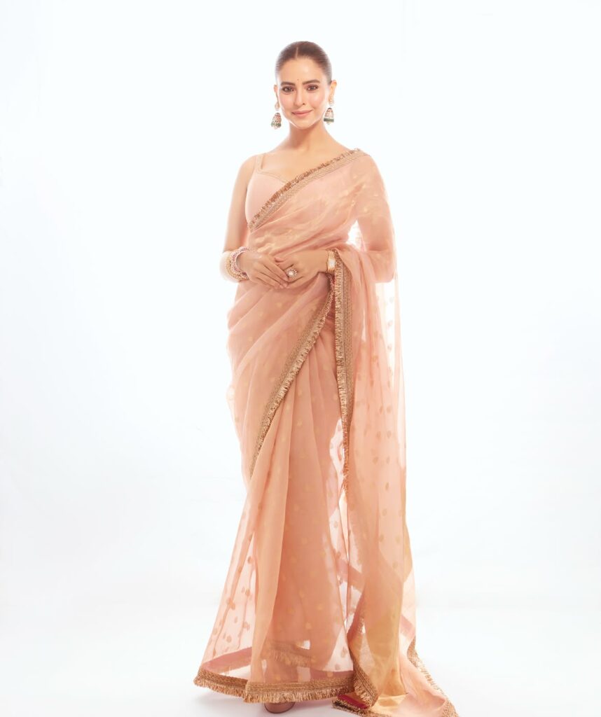 Aamna Sharif Peach Saree Look